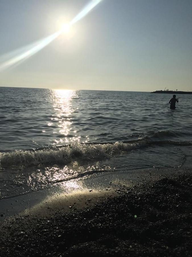 Mare Toscano Daire Riparbella Dış mekan fotoğraf
