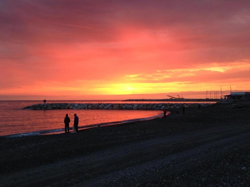Mare Toscano Daire Riparbella Dış mekan fotoğraf