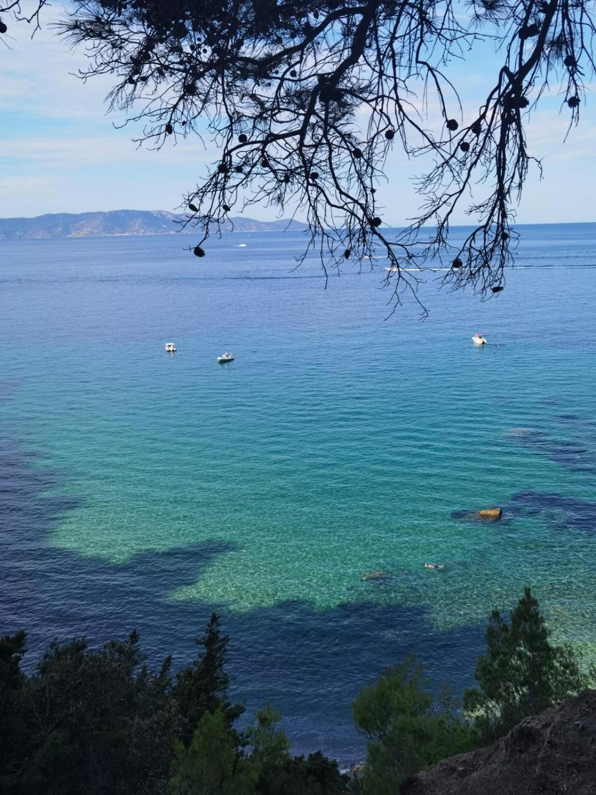 Mare Toscano Daire Riparbella Dış mekan fotoğraf